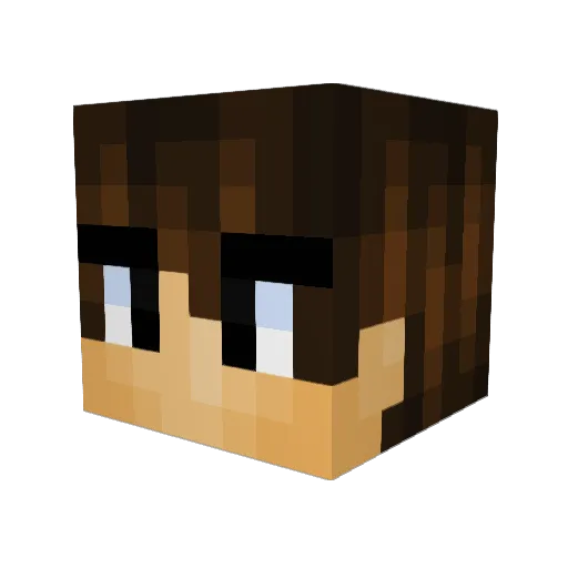 WallyBoy325 Minecraft avatar head, 3D render