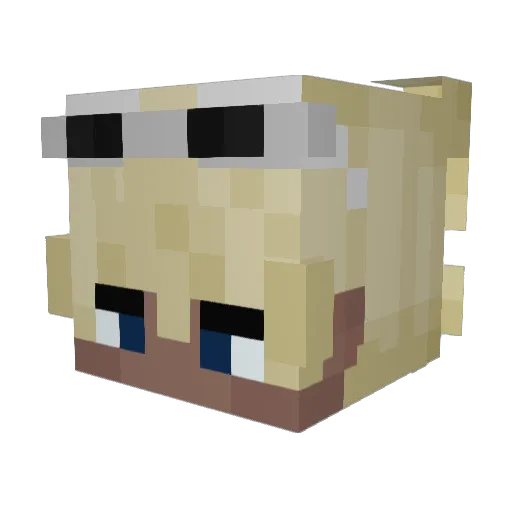 WallySIV Minecraft avatar head, 3D render