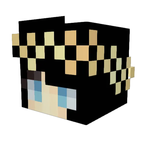 Wallysing Minecraft avatar head, 3D render