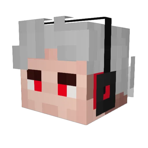 Walnerus2602 Minecraft avatar head, 3D render