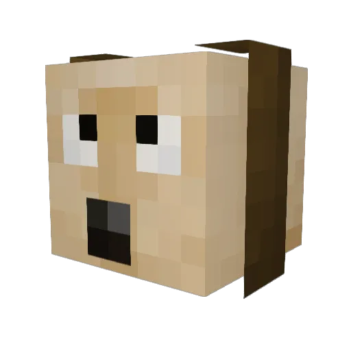 Walnut1024 Minecraft avatar head, 3D render