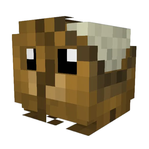 Walnut64 Minecraft avatar head, 3D render
