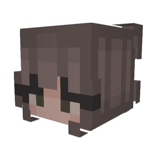 WalnutZoo89 Minecraft avatar head, 3D render