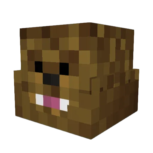 Walnut_the_Ninja Minecraft avatar head, 3D render