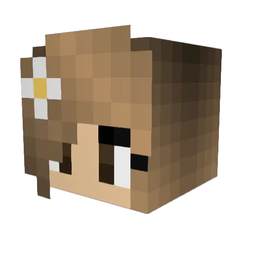 Walnuzz Minecraft avatar head, 3D render
