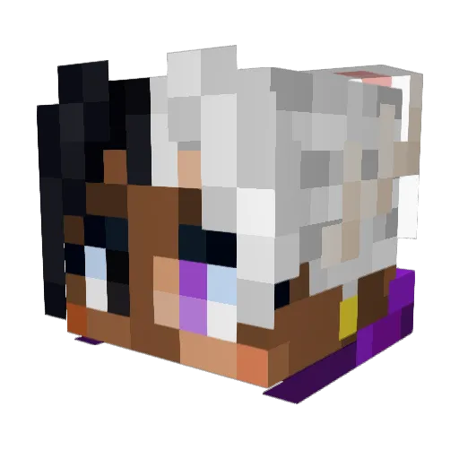 Walprigus Minecraft avatar head, 3D render