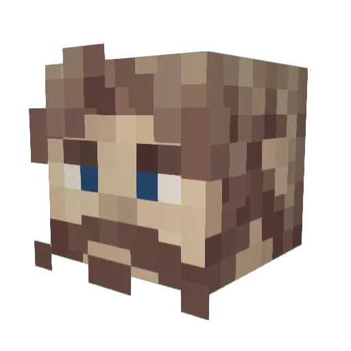 Walr071 Minecraft avatar head, 3D render