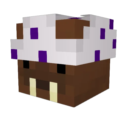 Walrossyyy Minecraft avatar head, 3D render