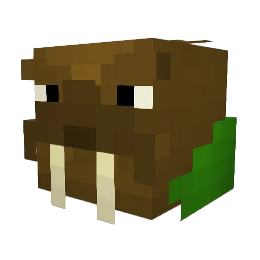 Walrox Minecraft avatar head, 3D render