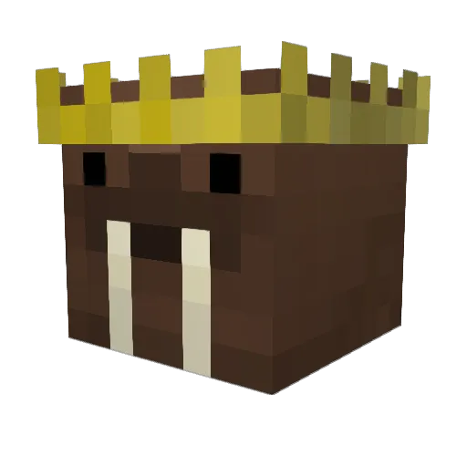 Walrsu Minecraft avatar head, 3D render