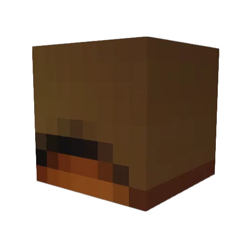 WalruS576 Minecraft avatar head, 3D render