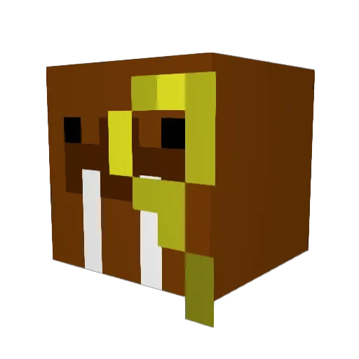WalrusBug Minecraft avatar head, 3D render