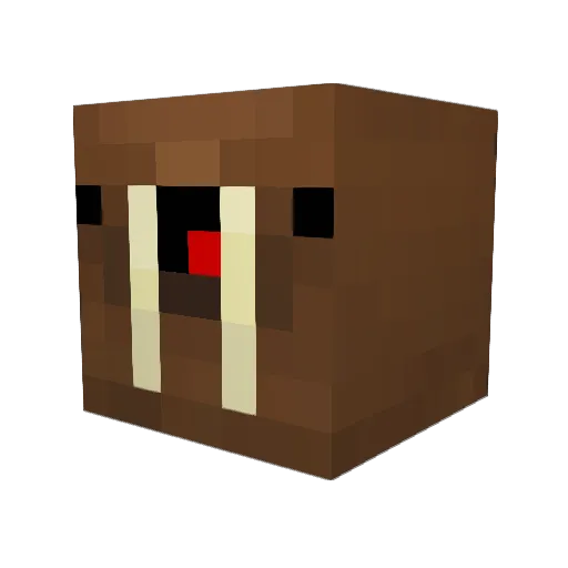 WalrusJustWalrus Minecraft avatar head, 3D render