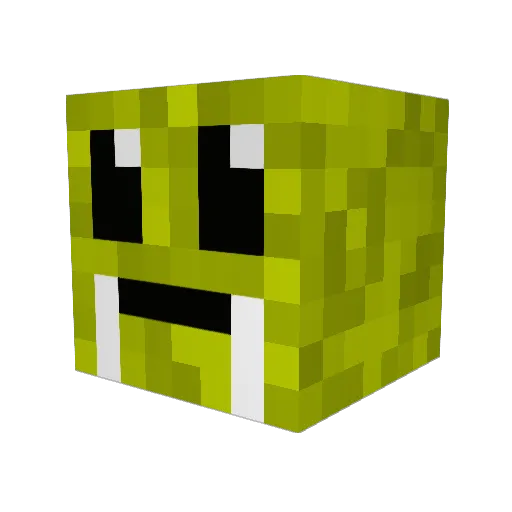 WalrusPvP Minecraft avatar head, 3D render