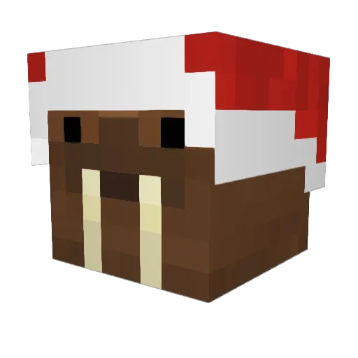 WalrusSea Minecraft avatar head, 3D render