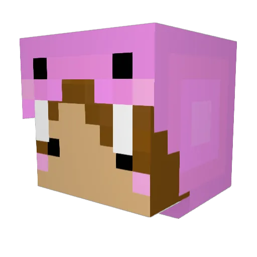 Walruslover Minecraft avatar head, 3D render