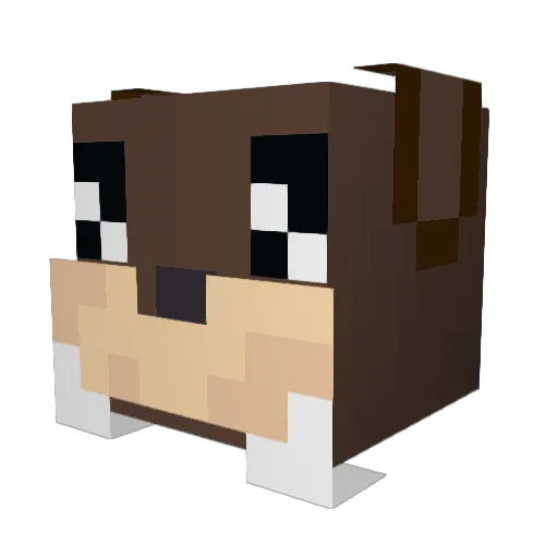 Walrusman1614 Minecraft avatar head, 3D render