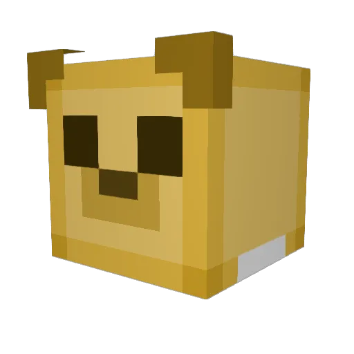 Walruzz43 Minecraft avatar head, 3D render