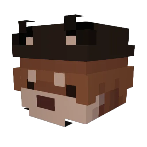 Walsh_Y Minecraft avatar head, 3D render