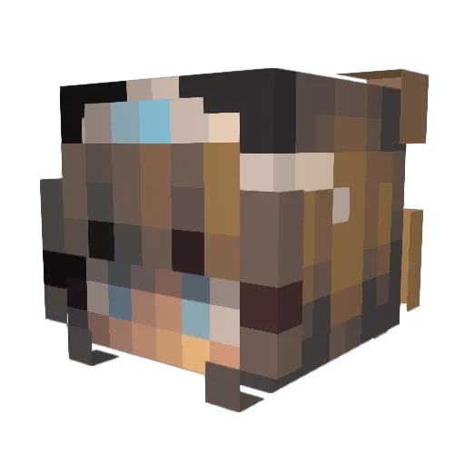 Walsy1988 Minecraft avatar head, 3D render