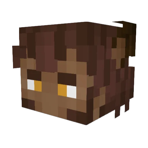 WaltBaaaby Minecraft avatar head, 3D render