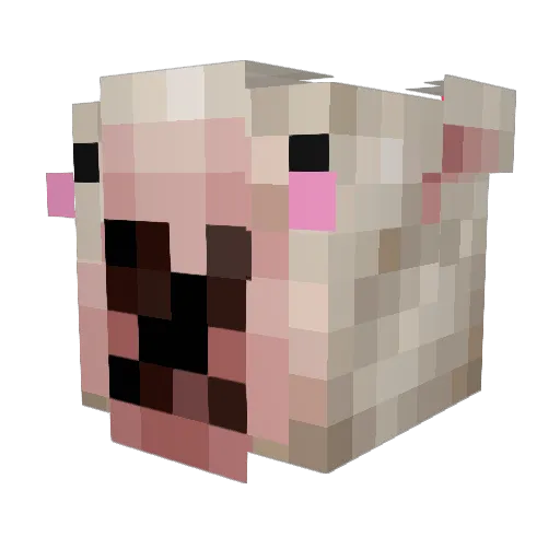 Walter0pvp Minecraft avatar head, 3D render