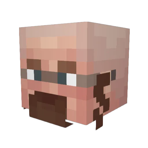 WalterCooks Minecraft avatar head, 3D render
