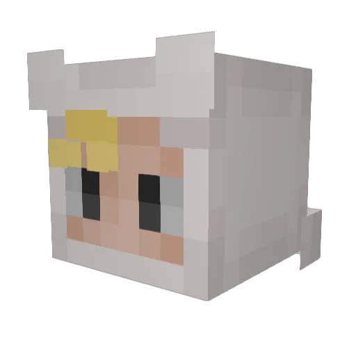 WalterLikeTheDog Minecraft avatar head, 3D render