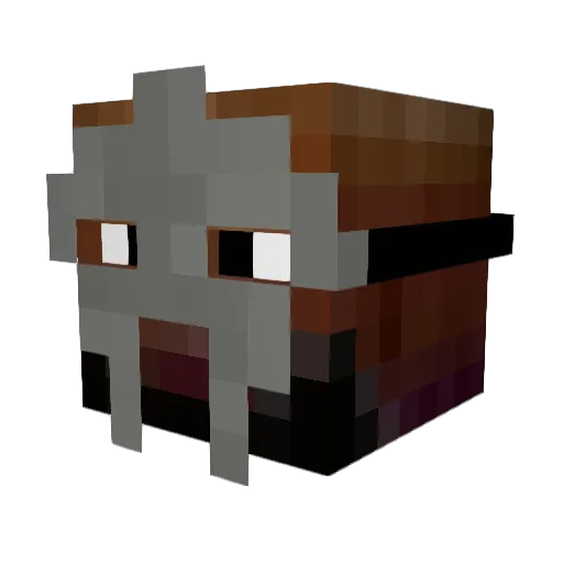 WalterSaxon Minecraft avatar head, 3D render