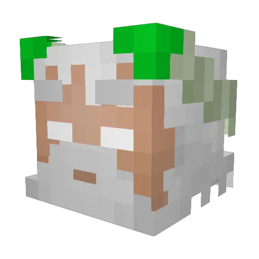 WalterWhight Minecraft avatar head, 3D render