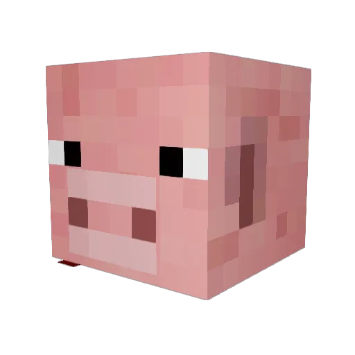 Walter_32 Minecraft avatar head, 3D render
