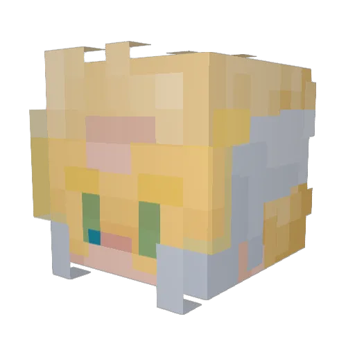 Waltermelon_64 Minecraft avatar head, 3D render