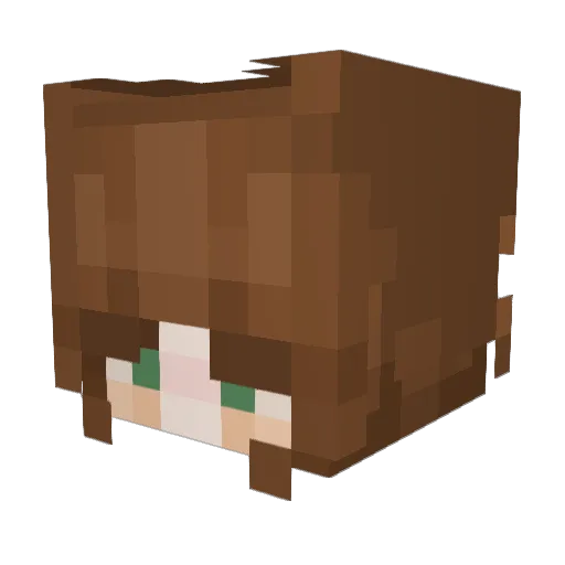 Wambambbang Minecraft avatar head, 3D render