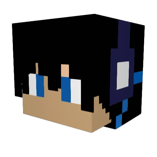 WamblingBrush Minecraft avatar head, 3D render