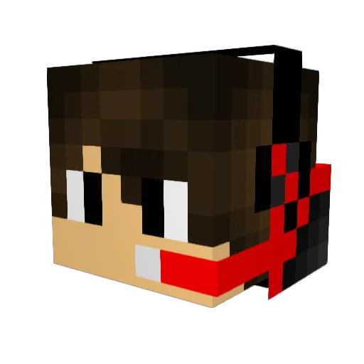 WamblingTrack72 Minecraft avatar head, 3D render