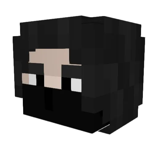 Waminal Minecraft avatar head, 3D render
