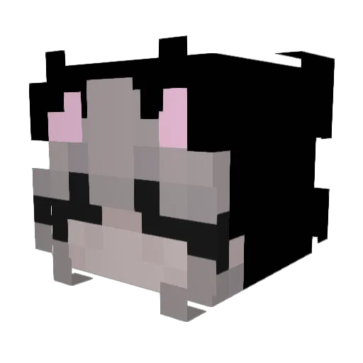 Wamp1r Minecraft avatar head, 3D render