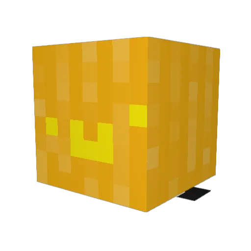 Wampa_R Minecraft avatar head, 3D render