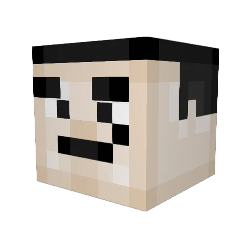 Wampman Minecraft avatar head, 3D render