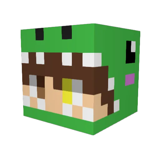 WanAn_n Minecraft avatar head, 3D render