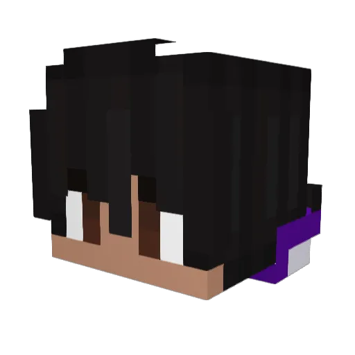 WanFelix12 Minecraft avatar head, 3D render