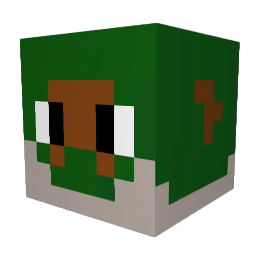 WanOlDan Minecraft avatar head, 3D render