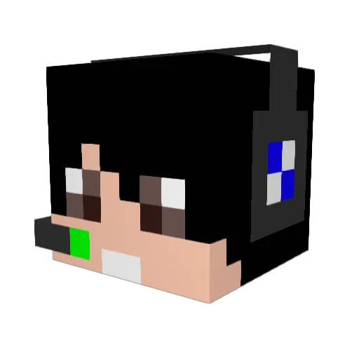 WanWiarD Minecraft avatar head, 3D render