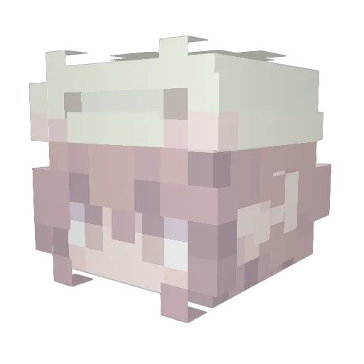 WanYiyu Minecraft avatar head, 3D render