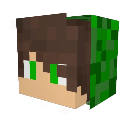 Wan_Jia Minecraft avatar head, 3D render