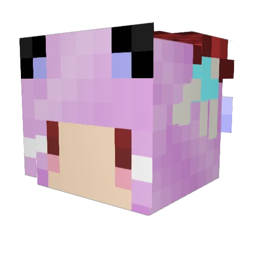 Wan_ruo_233 Minecraft avatar head, 3D render