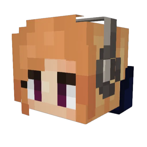 Wanaka327 Minecraft avatar head, 3D render