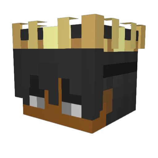 Wanaking15 Minecraft avatar head, 3D render