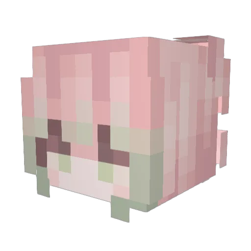 Wanan233_ Minecraft avatar head, 3D render