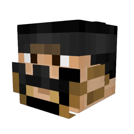 Wand3r Minecraft avatar head, 3D render